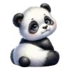 Pandica gleda